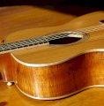 Acoustic Gallagher AC-120