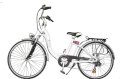 Xe đạp điện Gianya 004