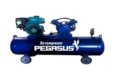 Máy nén khí chạy bằng xăng Pegasus TM-V-0.25/8-100L