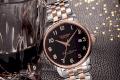 Đồng hồ Veadons VD3001SG - 1A