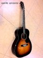 Guitar Acoustic Morris MF-205 TS