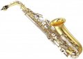 Kèn saxophone Alto Leister ASE100D