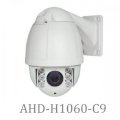Camera Surway AHD-H1060-C9