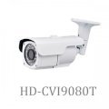 Camera Surway HD-CVI9080T10
