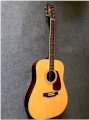 Guitar Acoustic Morris MD-506