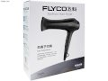 Máy sấy tóc Flyco Anion FH626