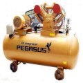 Máy nén khí dây đai Pegasus TM-W-1.0/8-330L