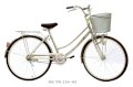 Xe đạp TN 219 - 05A