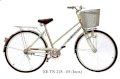 Xe đạp Thống Nhất TN 218 - 05