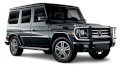 Mercedes-Benz G65 AMG 6.0 V12 2017 Việt Nam