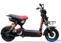 Xe đạp điện Ecobike 133 (Đen)
