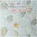 Gạch Kiến An Gia KAG-30522