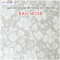 Gạch lát nền 3Kiến An Gia KAG-30538