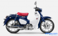 Xe máy Honda Super Cub C125 2018 (Xanh lam)