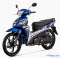 Xe máy SYM Angel 110R 2018 (Xanh)