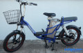 Xe đạp điện Hola E21 (Xanh)