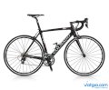 Xe đạp đường trường Colnago AC-R (Size 45) - Đen xanh lá