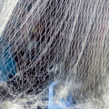 Lưới chỉ dù ba màn giăng cá - Nguyễn Út - LCD01