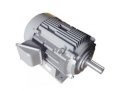 Motor điện Hitachi 3 pha 22KW-4P