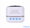 Loa Bluetooth Wster Ws-201BT (Trắng)