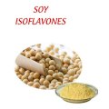 Tinh chất mầm đậu nành - Soy Isoflavones - 25kg/thùng