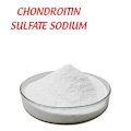 Chondroitin Sulfate Sodium - Thùng 25kg