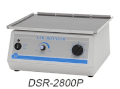 Máy lắc loại nhỏ Rotator Digisystem- DSR2100P