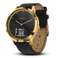 Smart watch Garmin Vívomove HR Premium (Gold-Black, One-Size)
