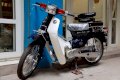 Xe CUB 50cc