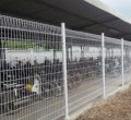 Lưới thép hàng rào sơn tĩnh điện An Phú D5 (50*100)
