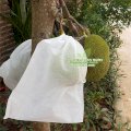 Túi vải bao trái cây 50x70 - Thanh Hà