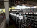 máy khoan nước dừa công nghiệp Hải Minh HM 01