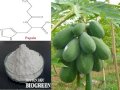 Biogreen cung cấp Enzym papain (CAS 9001-73-4)
