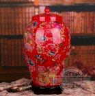 Bình hoa gốm sứ màu đỏ, họa tiết hoa văn đẹp, trang trí cho ngôi nhà của bạn, MS 7489