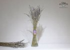 HOA OẢI HƯƠNG KHÔ LAVENDER PHÁP (HOA THẬT)