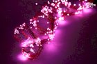 Dây đèn Led dây đồng Fairy Light dạng chùm màu hồng