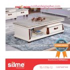 Bàn Sofa Salon Sitme TS1776-12 (1200x600x440)