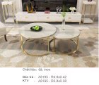 Combo 02 Bàn sofa mạ inox Mina Furniture TS-A8195 (R800*420)