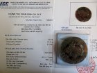 Mặt dây chuyền  Rùa đầu rồng đá mã não nâu đỏ 4,8 x 0,7 cm - kiểm định MS 195581