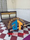 Giường ngủ sắt kiểu gỗ Đại Thành – DT18