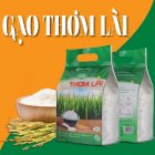 Gạo Lài Gente Food túi 2kg thượng hạng Cơm Thơm, Dai, Mềm Dẻo, Vị Ngọt