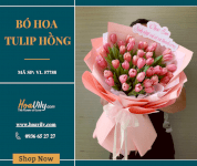 Bó Hoa Tulip Hồng - See Tình