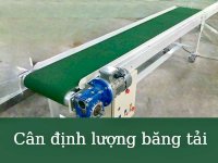 Bán Cân Băng Tải Tại Đà Nẵng(#Ft)