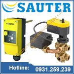 Bộ Truyền Động Van Sauter Tại Việt Nam