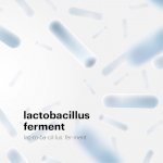 Lactobacillus Ferment Tăng Cường Miễn Dịch Cho Cơ Thể