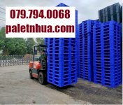 Pallet Nhựa Gia Lai Được Lựa Chọn Nhiều Năm 2024