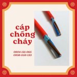 Cáp Chống Cháy Chống Nhiễu, Cáp Chống Cháy Chịu Nhiệt (Al+E+Gft)