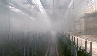 Probuy Cung Cấp Hệ Thống Phun Sương Tạo Độ Ẩm Cho Vườn Trồng Hoa Lan