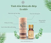 Tinh Dầu Khuynh Diệp Ecolife Eucalyptus Essential Oil