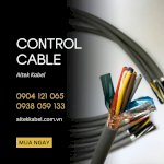 Cáp Điều Khiển (Control Cable) Thương Hiệu Altek Kabel Điện Áp 500Volt